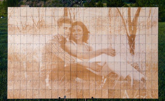 Alternative Guest Book - Photo Peg Board with Laser Engraved Picture and Birch Wood Chips