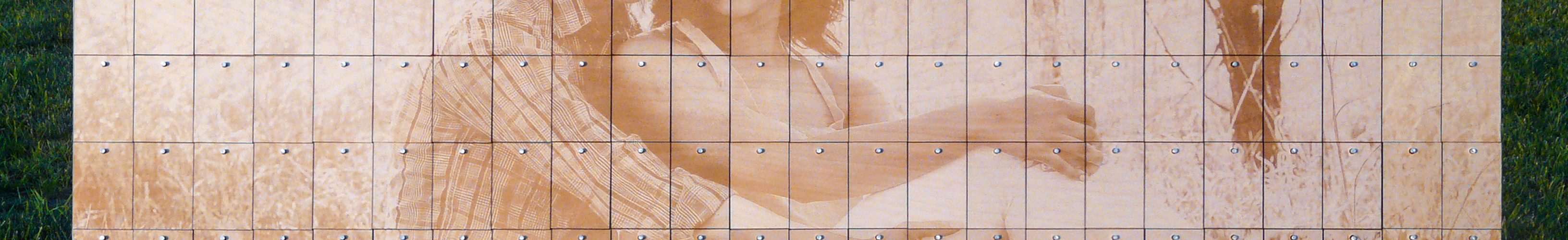 Alternative Guest Book - Photo Peg Board with Laser Engraved Picture and Birch Wood Chips